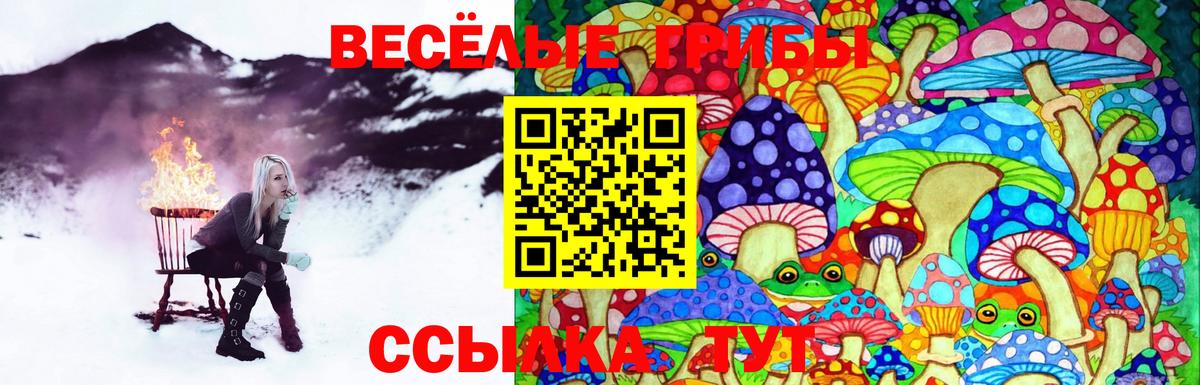 Псилоцибиновые грибы Magic Shrooms Щёлково