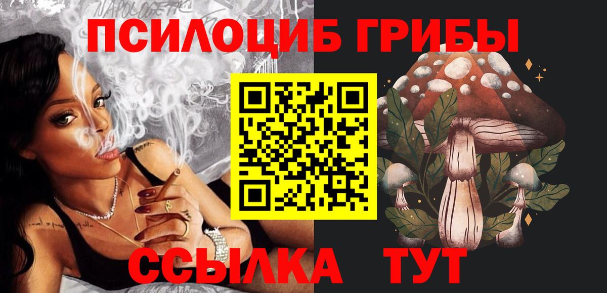 Щёлково  Псилоцибиновые грибы MAGIC MUSHROOMS  Вход с VPN 